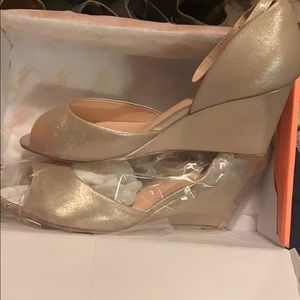 De Blossom Champagne Open Toed Wedge Bridal Shoes